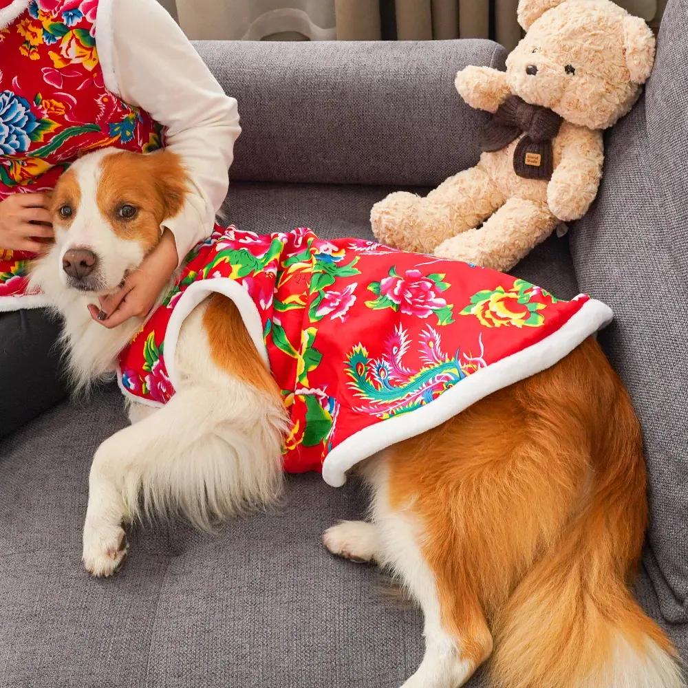Winter Clothing Name - 2025 ropa de invierno para perros
